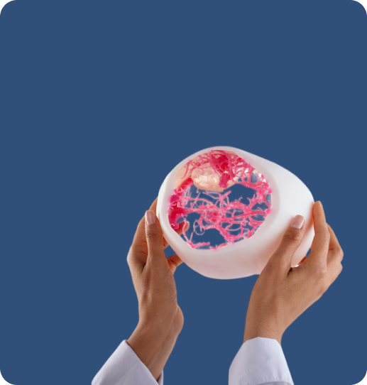 Pre-Surgical Planning Models