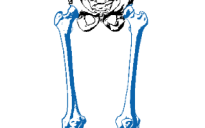 Femur